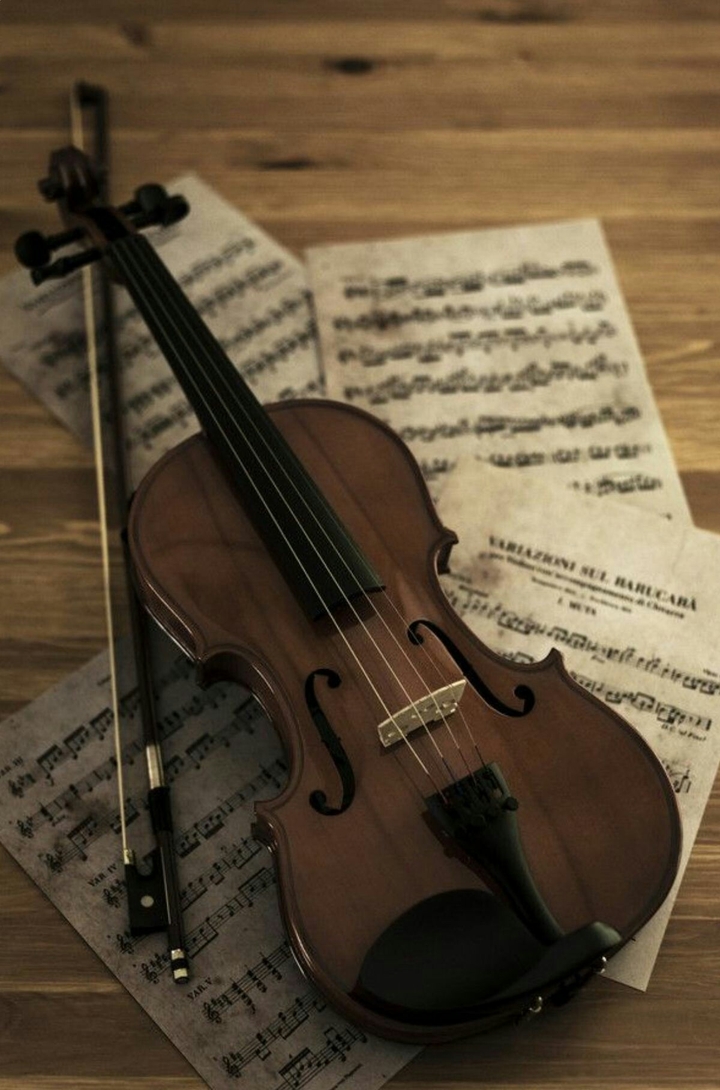 violino ♥