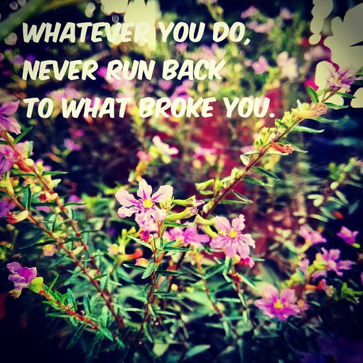 Wisdom.