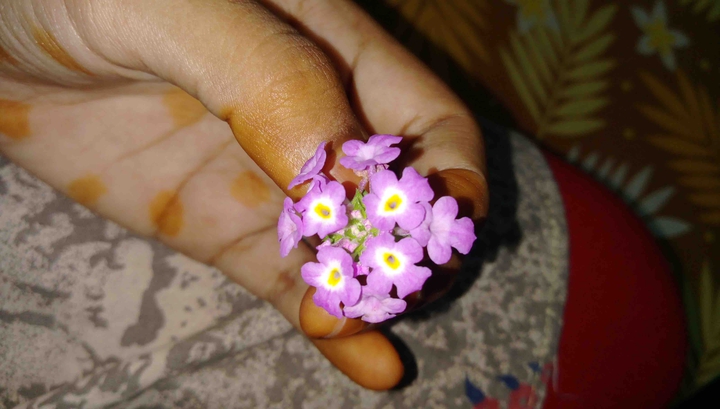 beautiful