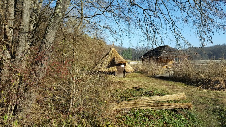 Countryside
