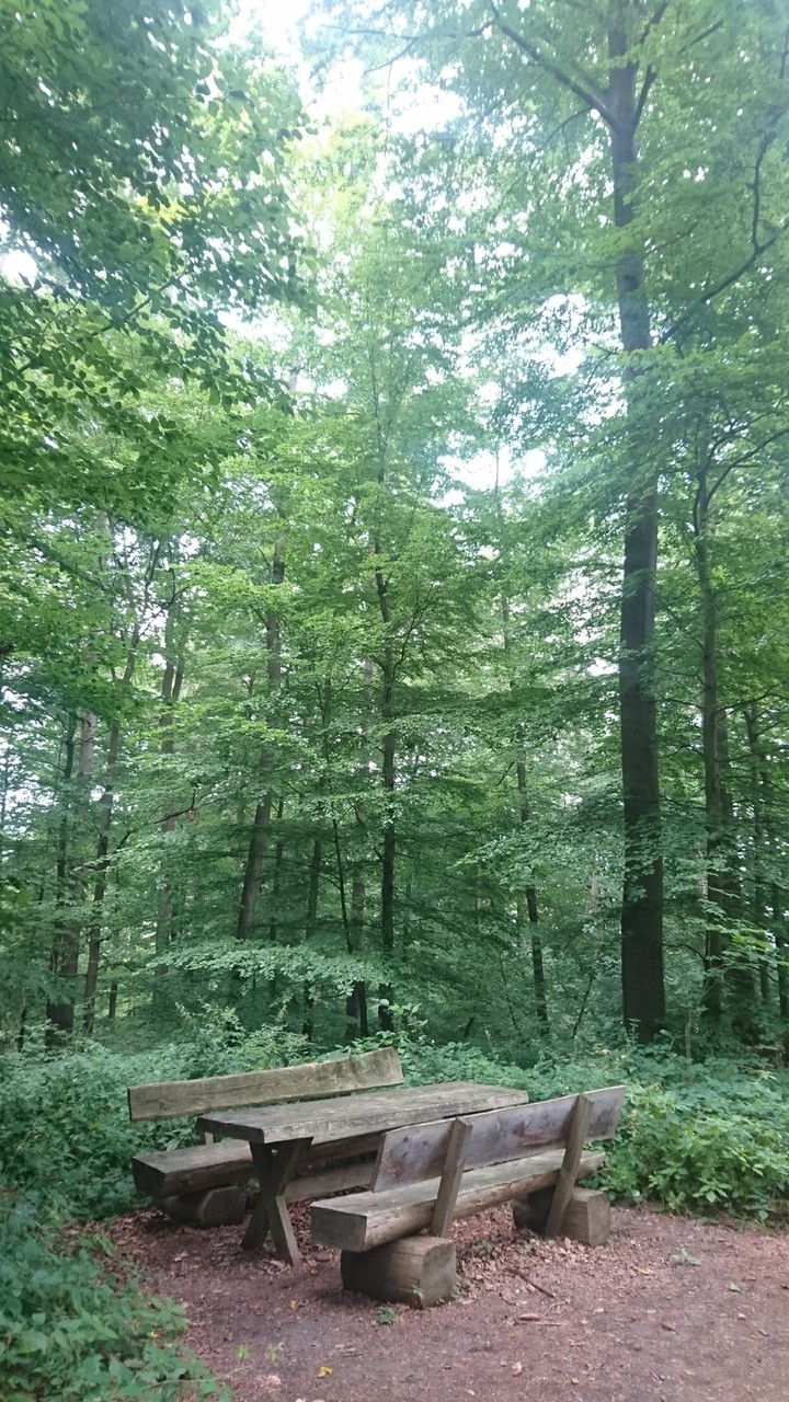 лес
