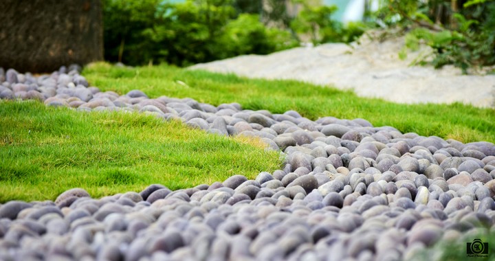 Pebble stones and Green grass