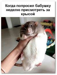 Нельзя ни о чём просить бабуличек!