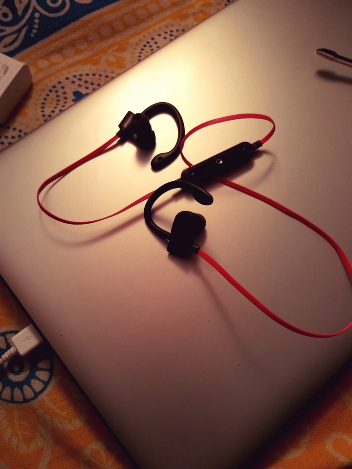 Earphones