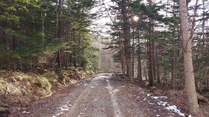 road
