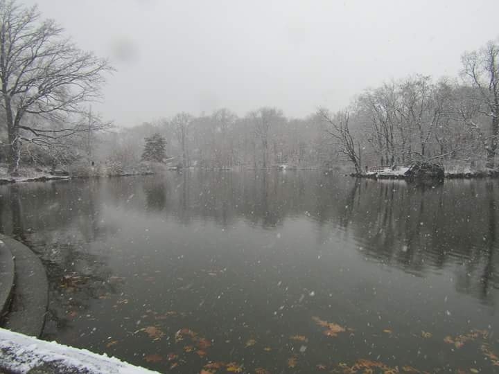 central park