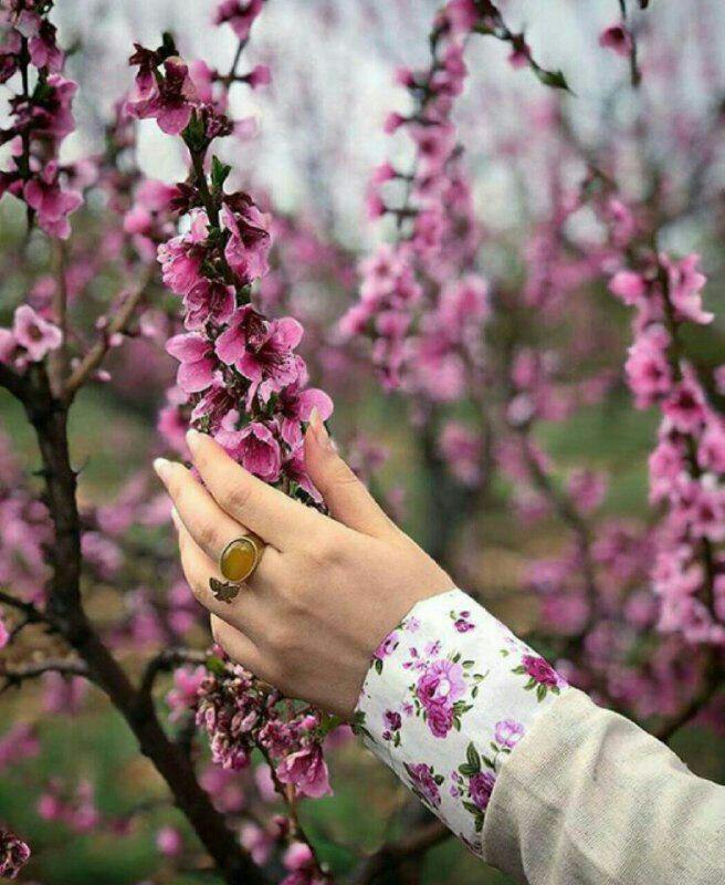 ✳✳⚘☘⚘☘ Spring #