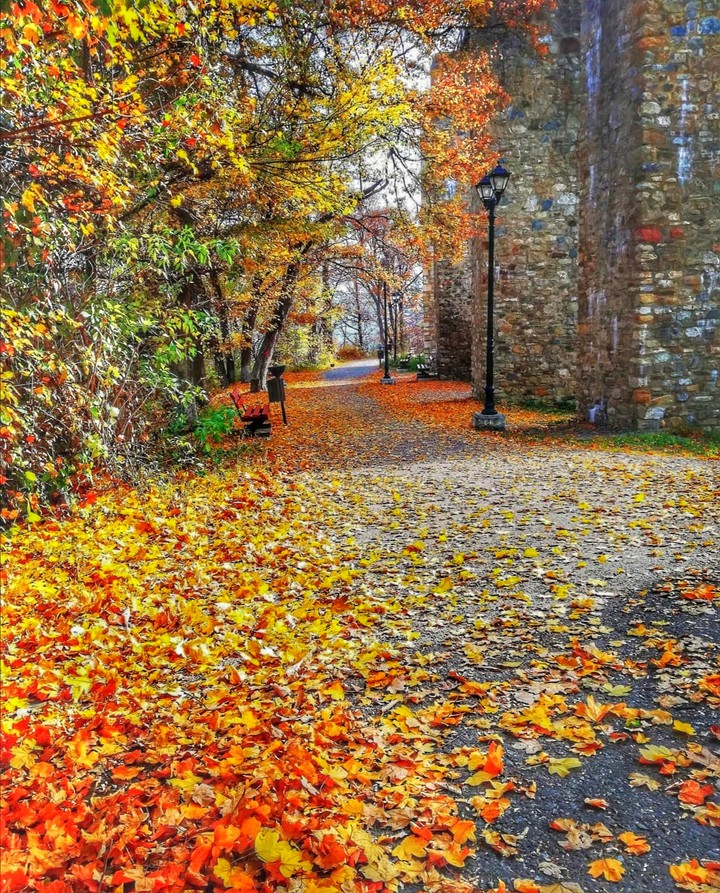 Autumn
