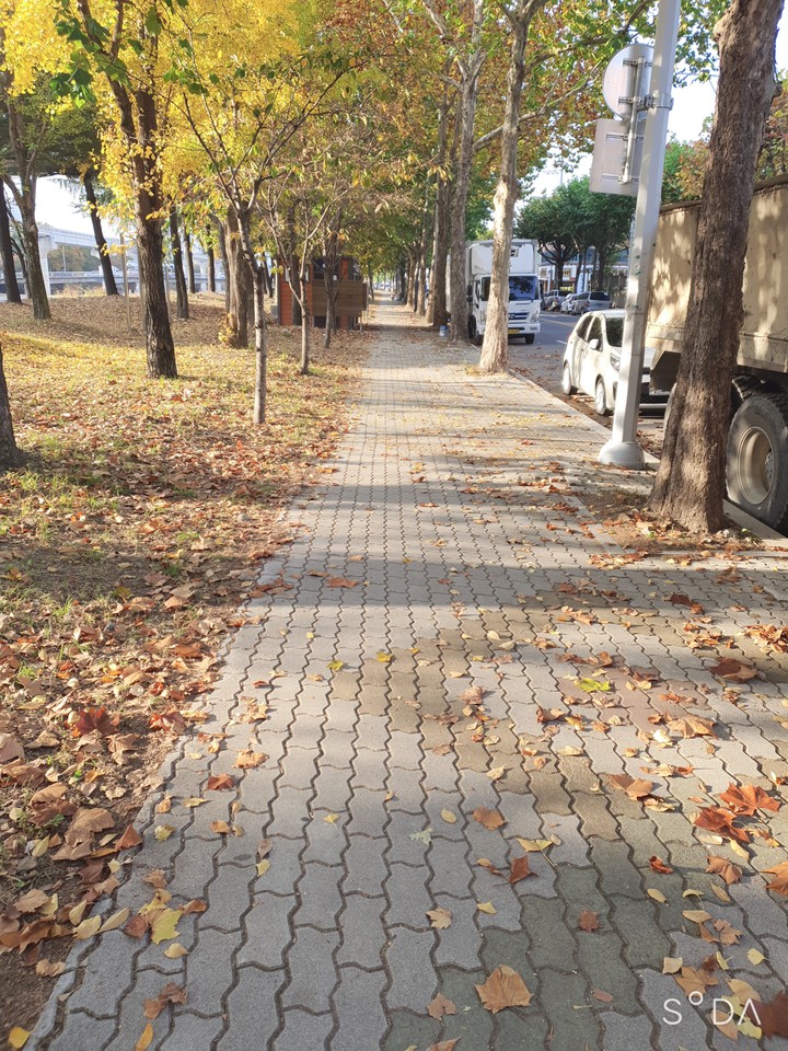 REPUBLIC OF KOREA