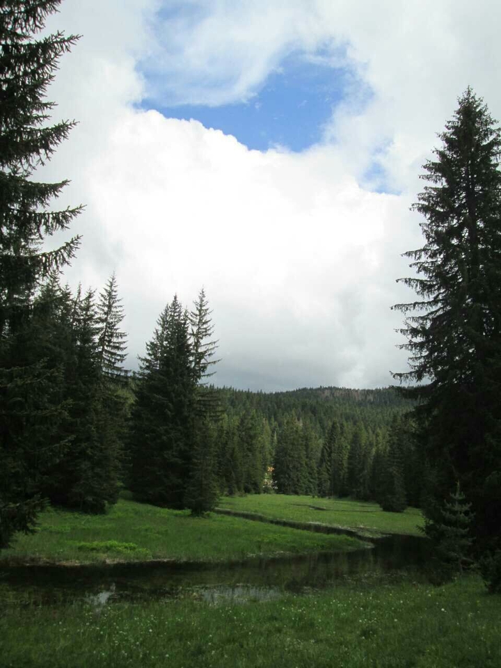 National park Durmitor