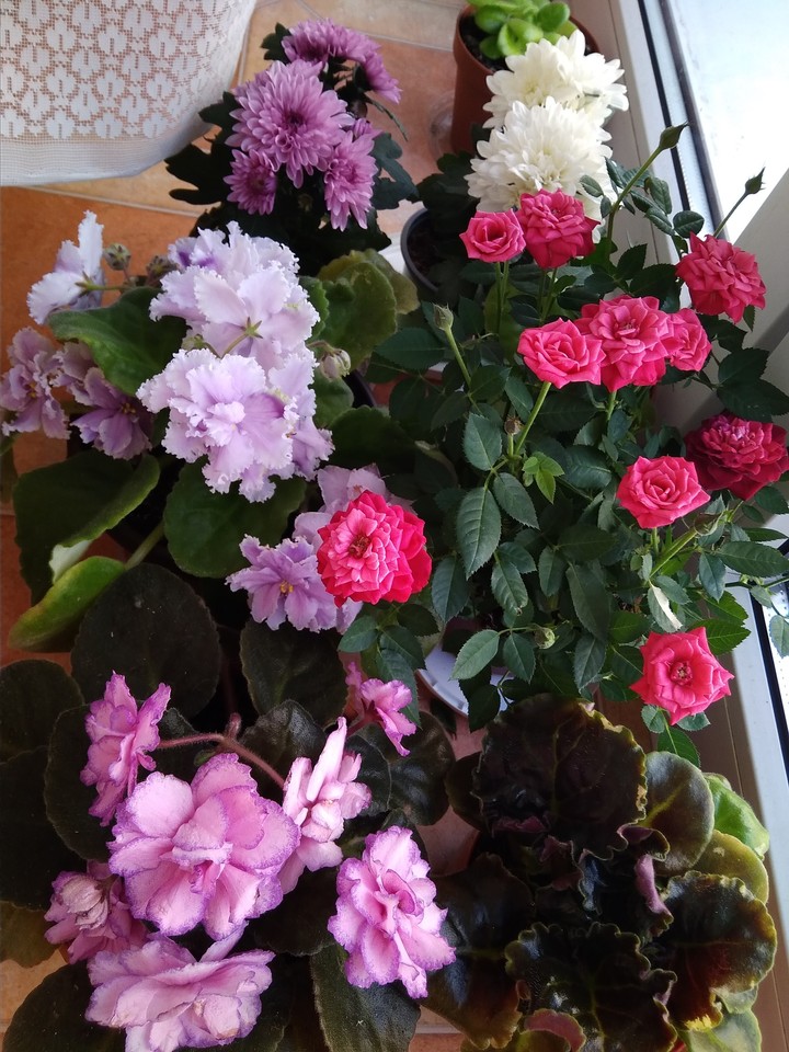 May garden