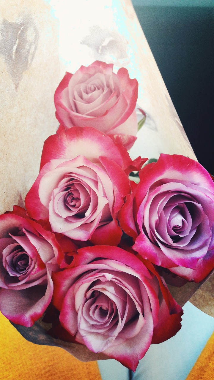 Roses