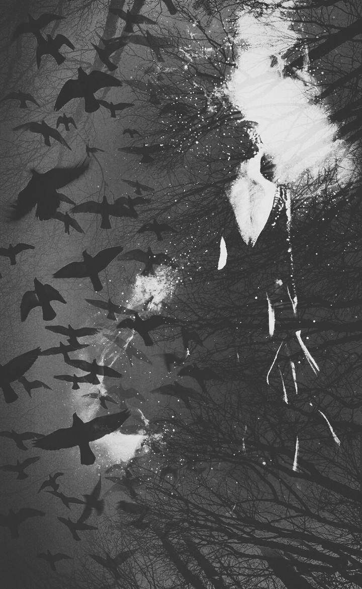 Shadows hide secrets.