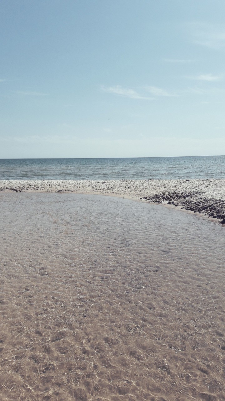 •Black Sea•