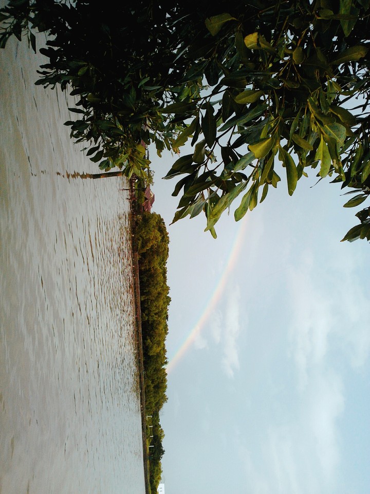 Country Rainbow