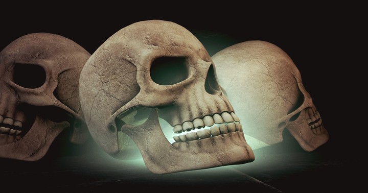 Skull