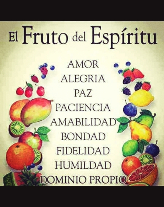 la frase mas linda