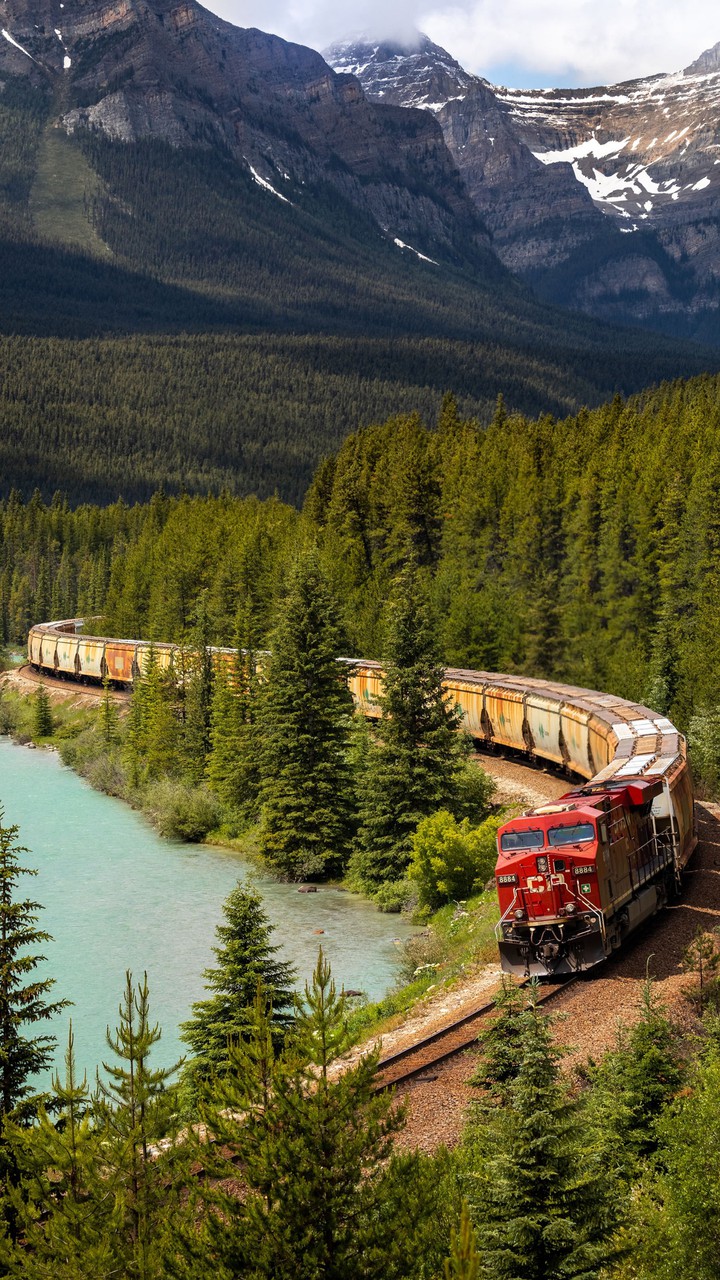 Train