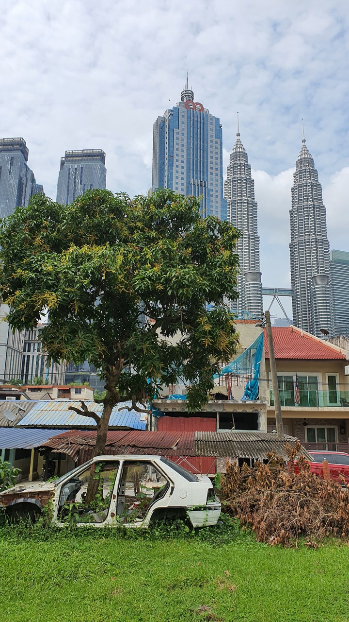 city and nature