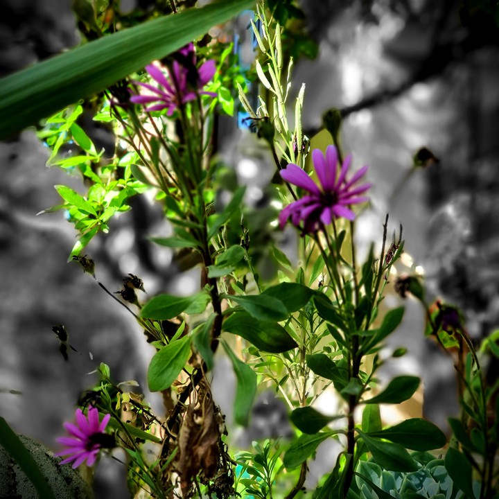 Nature