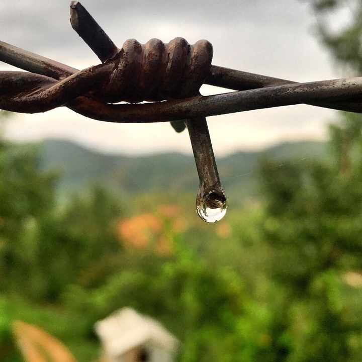 water drops ( Dr. Dhakal)