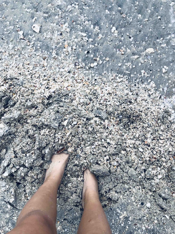 beach pls