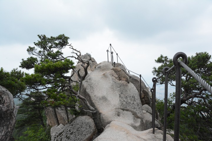 풍경이미지
