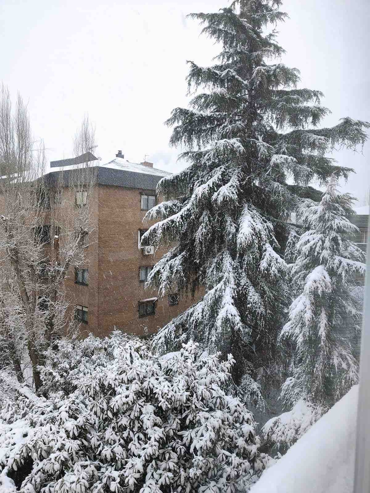 Nieve - Madrid