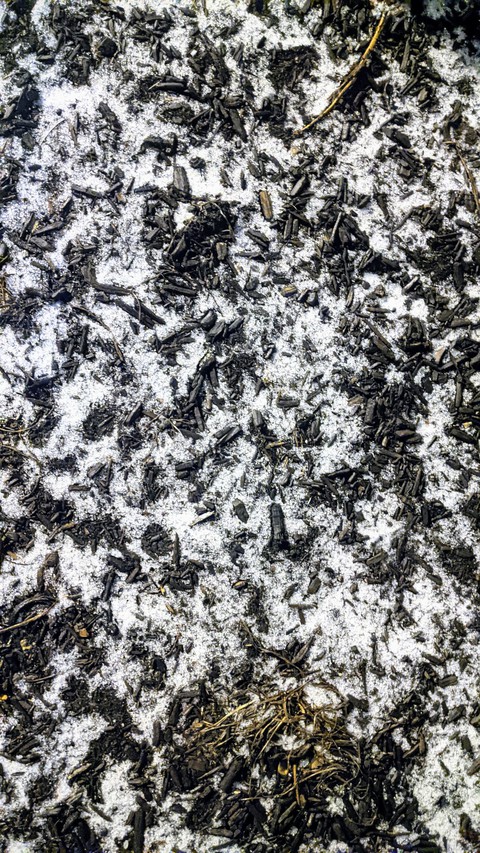 snowy pattern