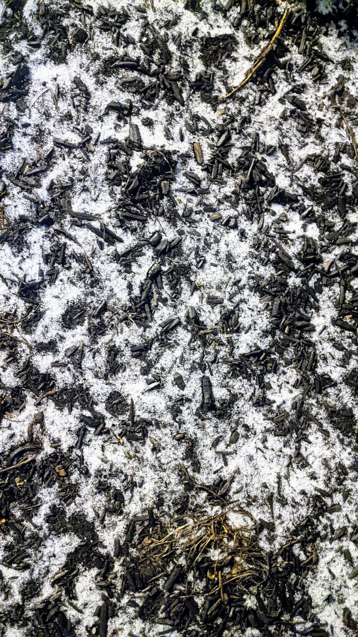 snowy pattern