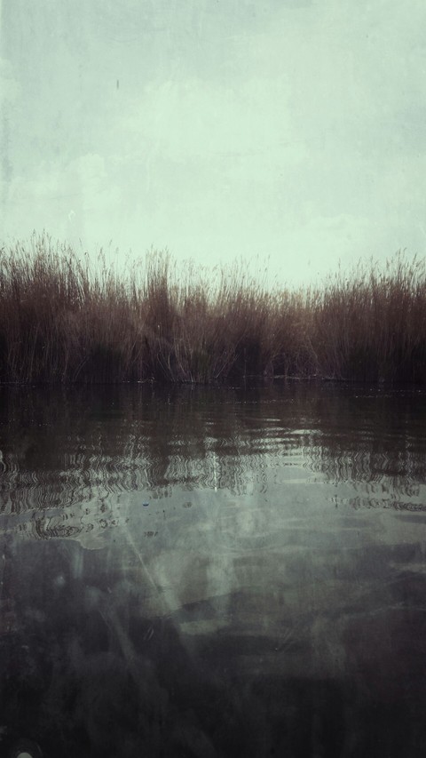 melancholy on the swam