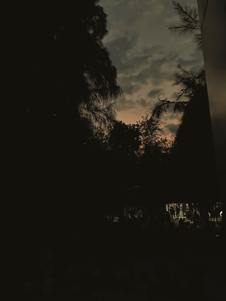 night