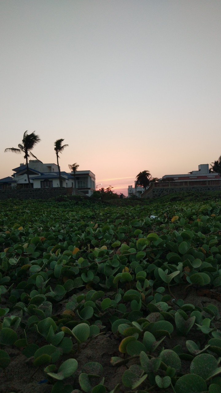 Evening Time