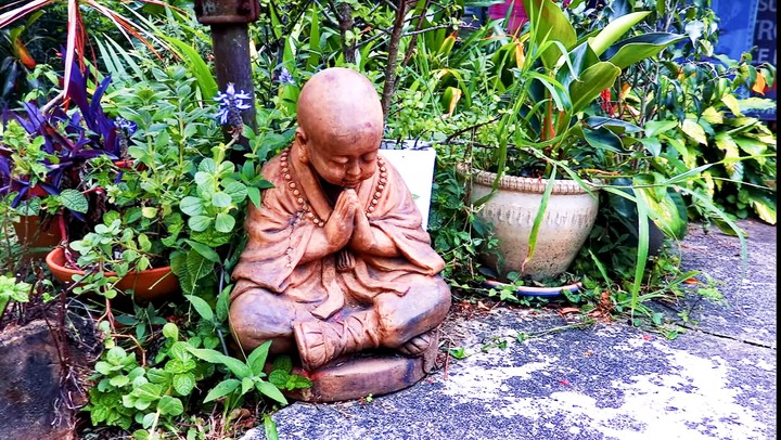 buddha