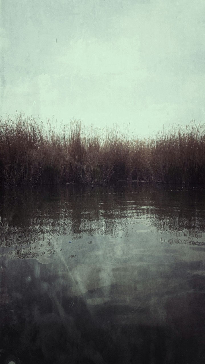 melancholy on the swam