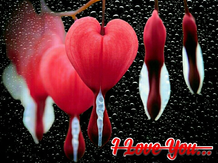 Broken heart...