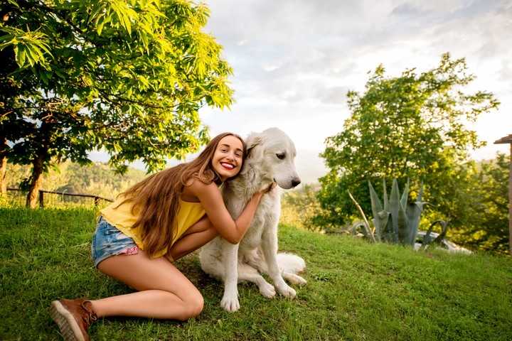 amis