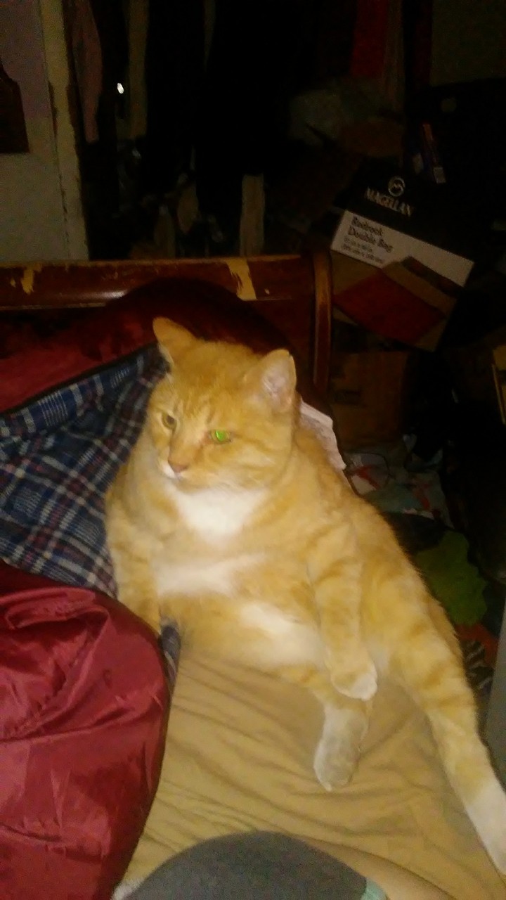 He JUST SAT DOWN like THIS!!! Weird!!