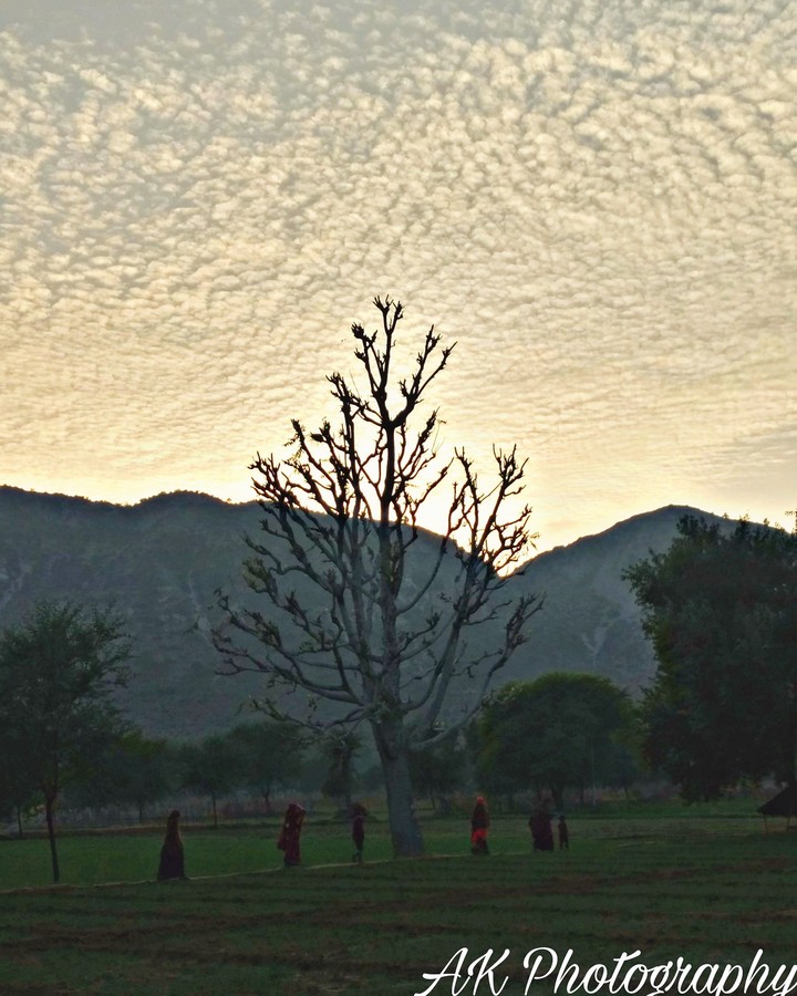 village