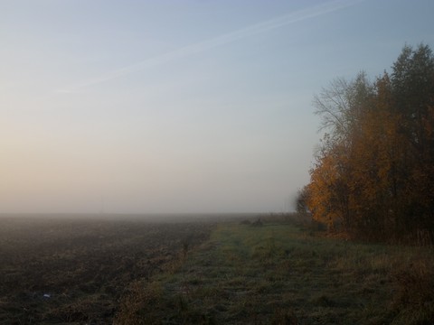 Осеннее утро
