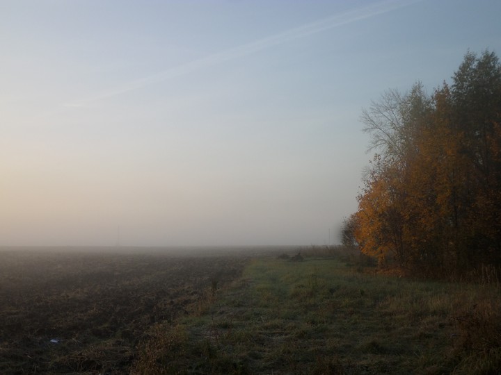 Осеннее утро