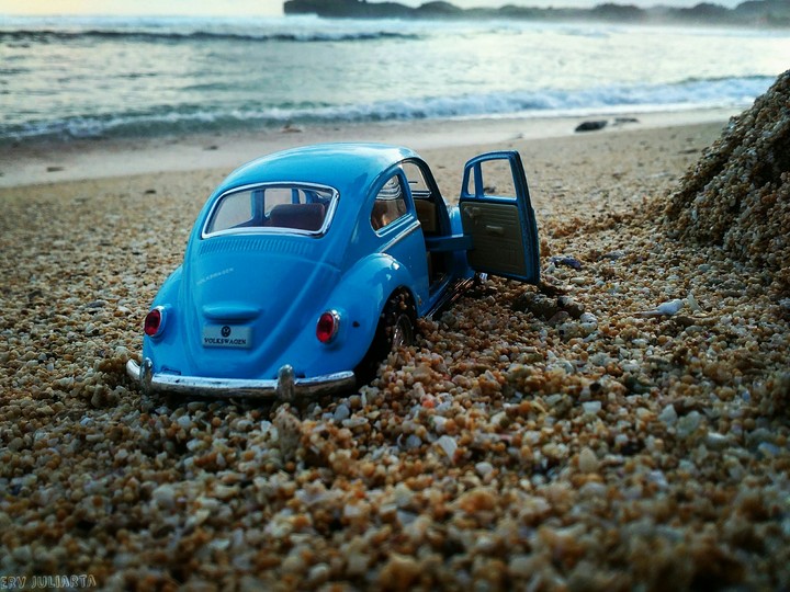 Holiday