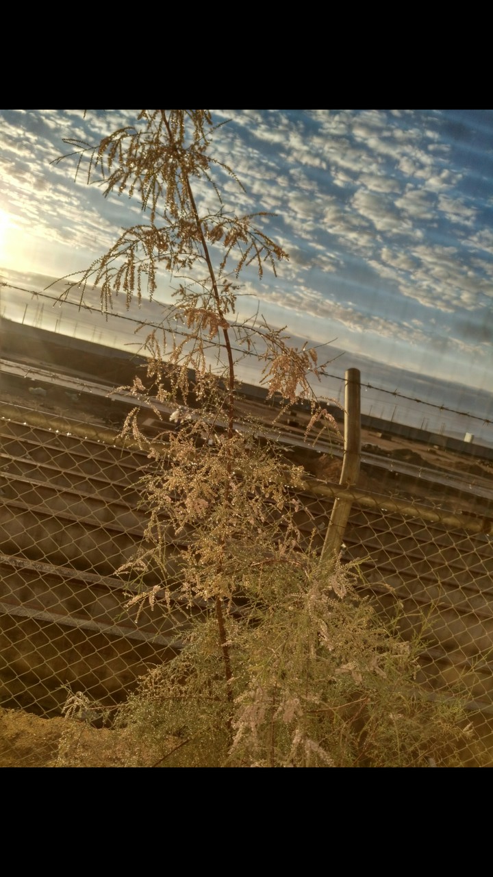 after a little rain
