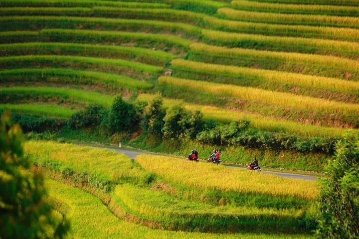 Highlands - Vietnam