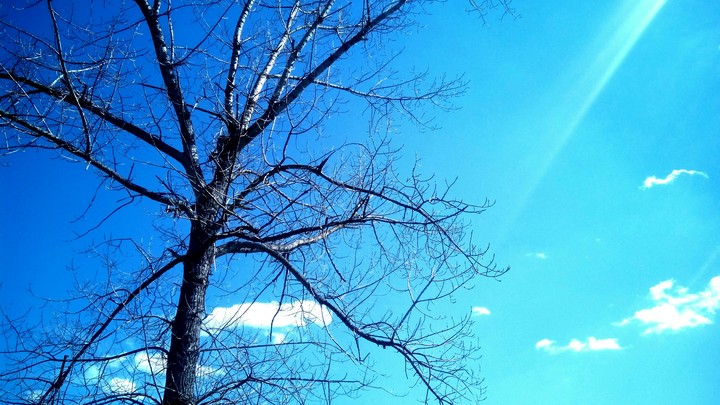 Weather