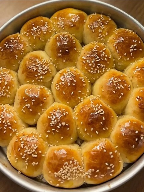بدون عنوان