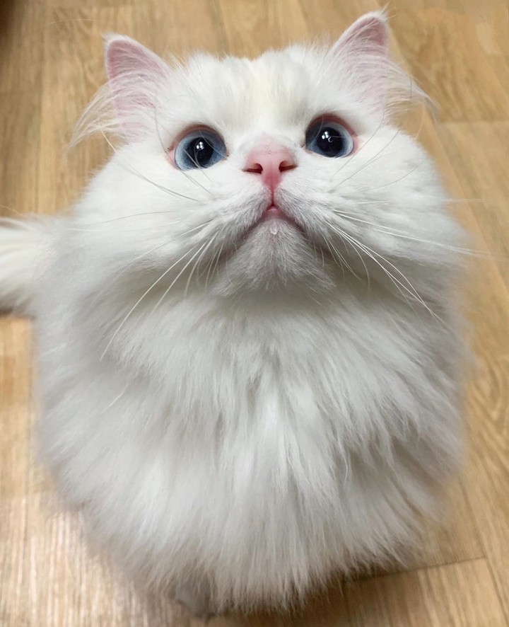 ☺️☺️☺️