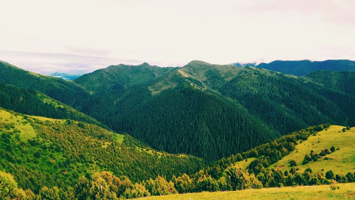 美丽的风景