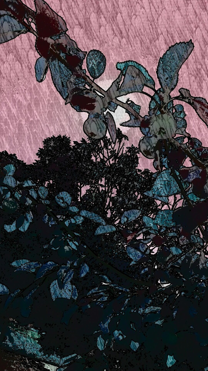 an engraved apple tree