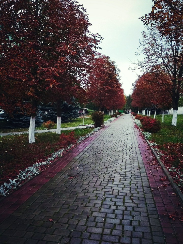 Road...